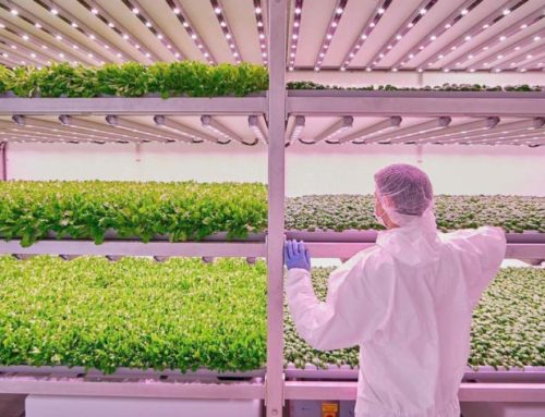 Next-level farming: vertical, efficient, and AI powered  Cisco Newsroom: Security