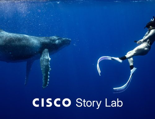 The Many Worlds of Amy Chang  Cisco Newsroom: Security